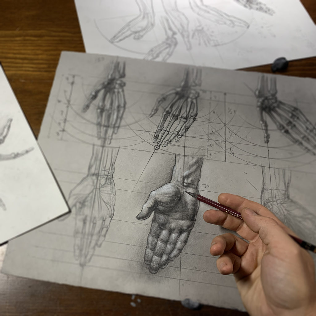 Drawing Anatomy: A Step by Step Guide | Skillshare Blog